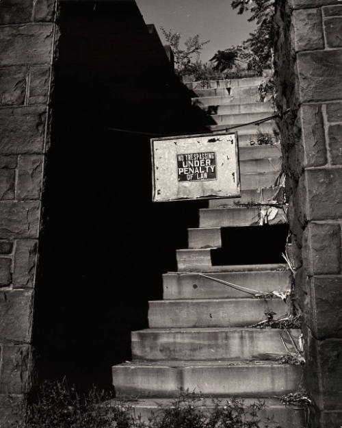 Untitled (No Trespassing)