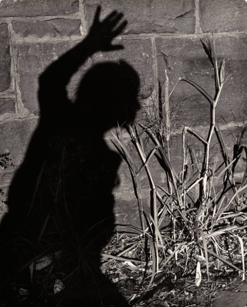 Untitled (Shadow on wall)