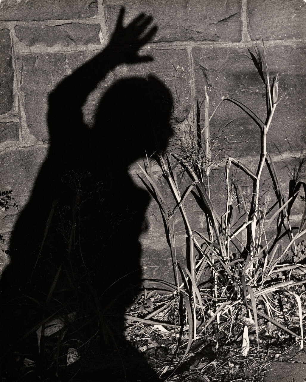 Untitled (Shadow on wall)