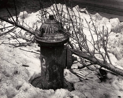 Untitled (Fire hydrant in snow)