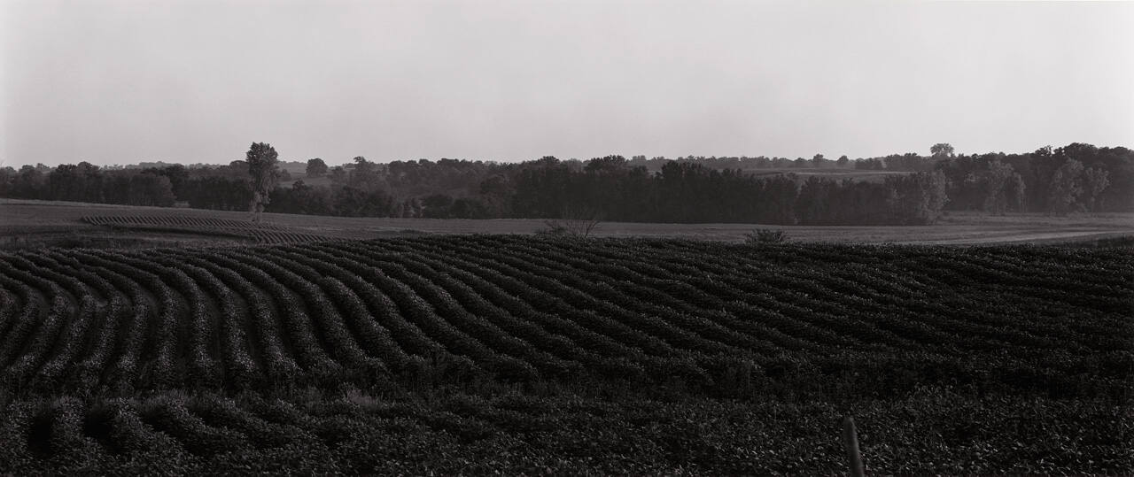 Illinois Landscape #5