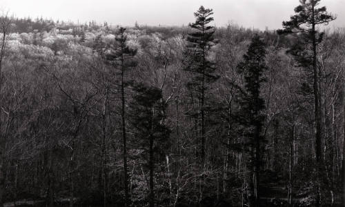 New Hampshire Landscape #22
