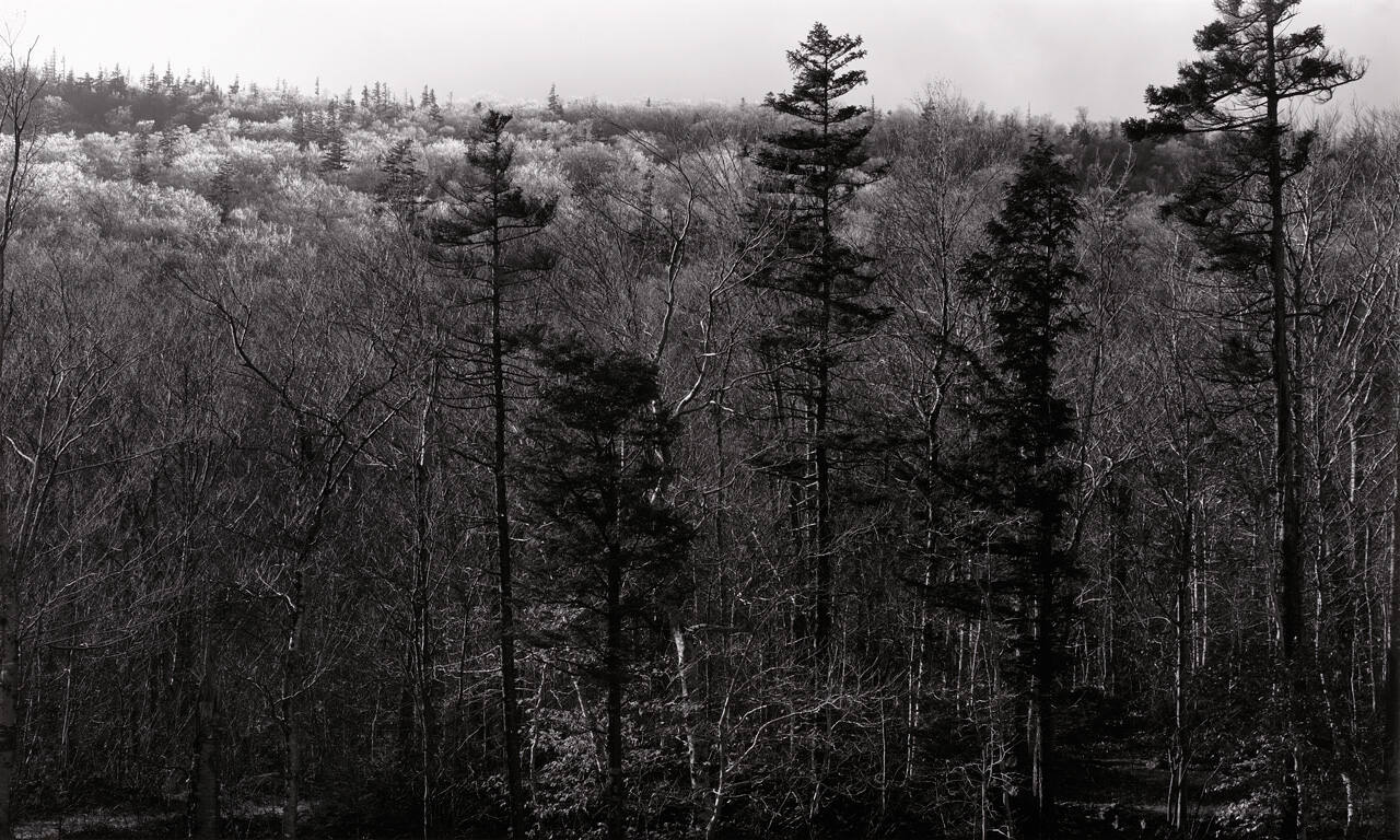 New Hampshire Landscape #22