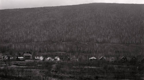New Hampshire Landscape #21