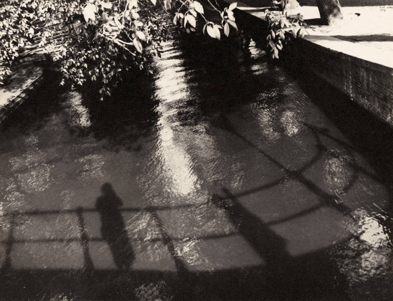 My Shadow, Amsterdam