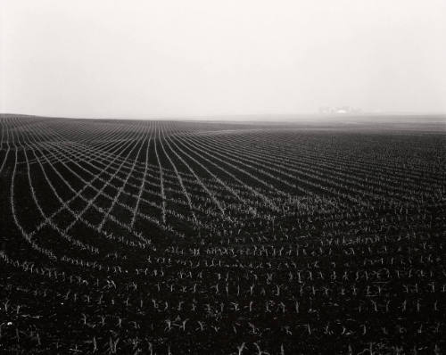 Illinois Landscape