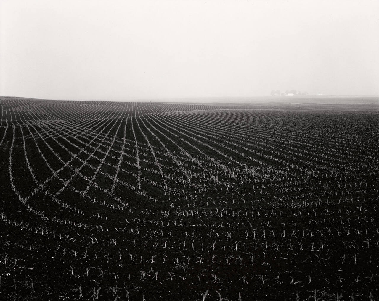 Illinois Landscape