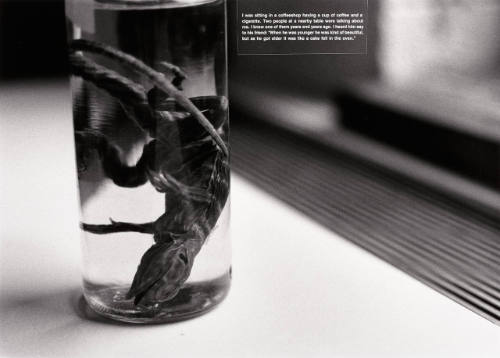David Wojnarowicz