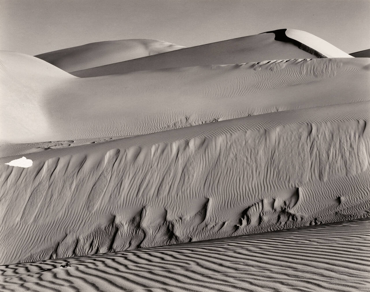 Dunes, Oceano