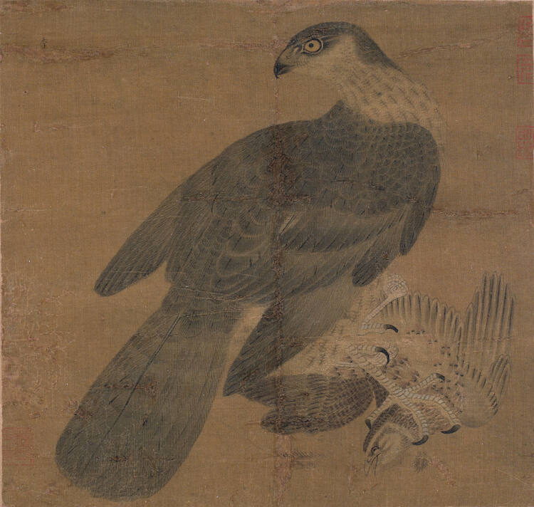 Hawk Capturing a Quail
