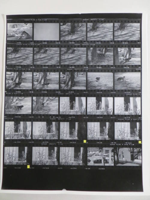 Guggenheim Work: USA64: 2019-2024