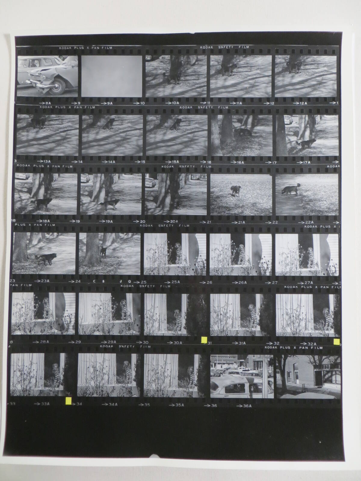 Guggenheim Work: USA64: 2019-2024