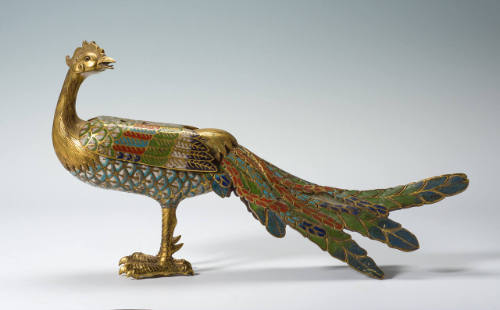 Standing Pheasant