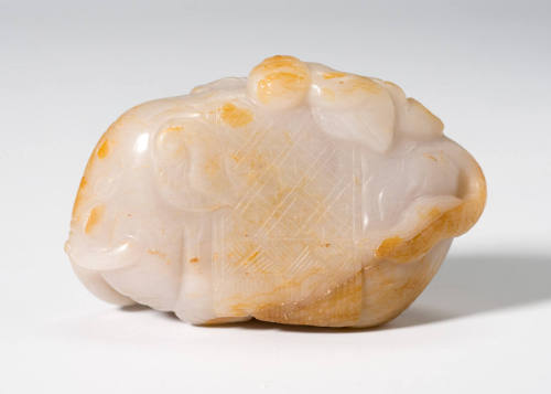 Boy Clinging to Elephant