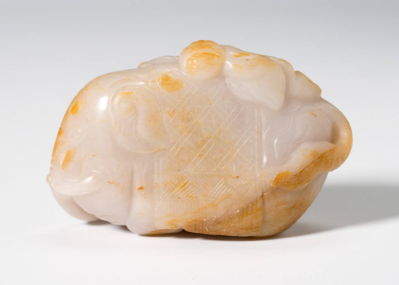 Boy Clinging to Elephant