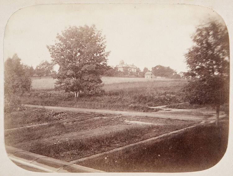 Untitled (Back Yard)