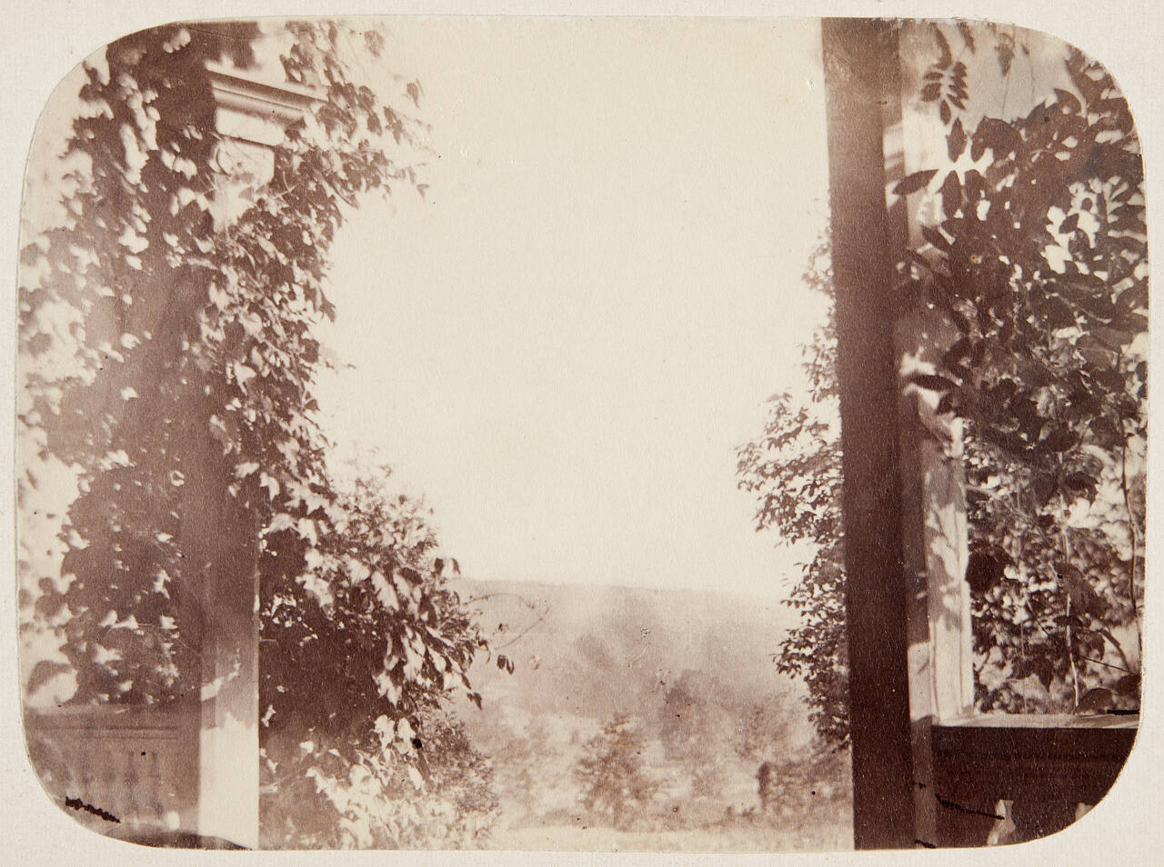 Untitled (View from Porch)