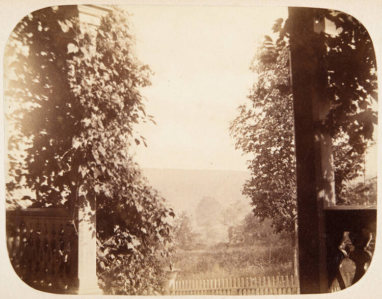 Untitled (View from Porch)