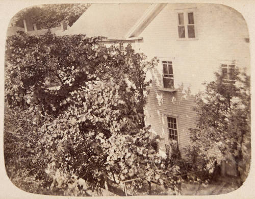 Untitled (House)