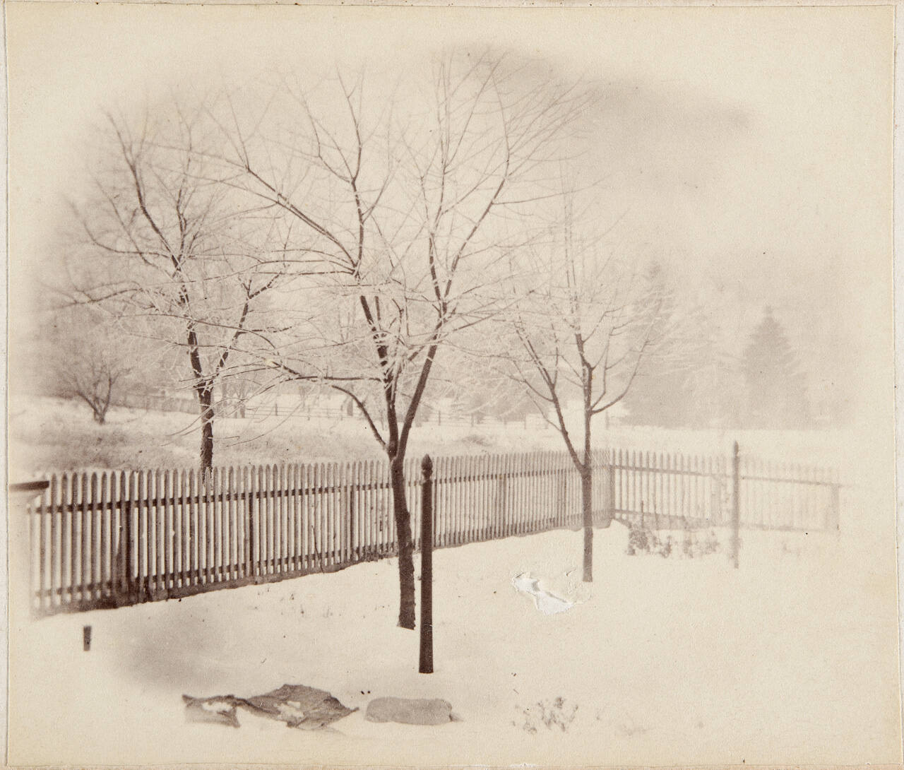 Untitled (Snowy Yard)
