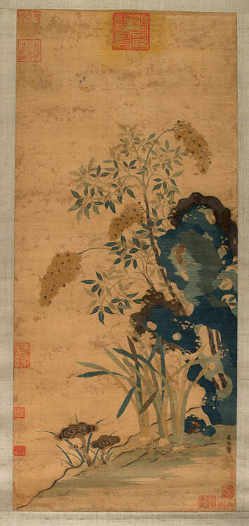 Rock, Narcissus, and Heavenly Bamboo