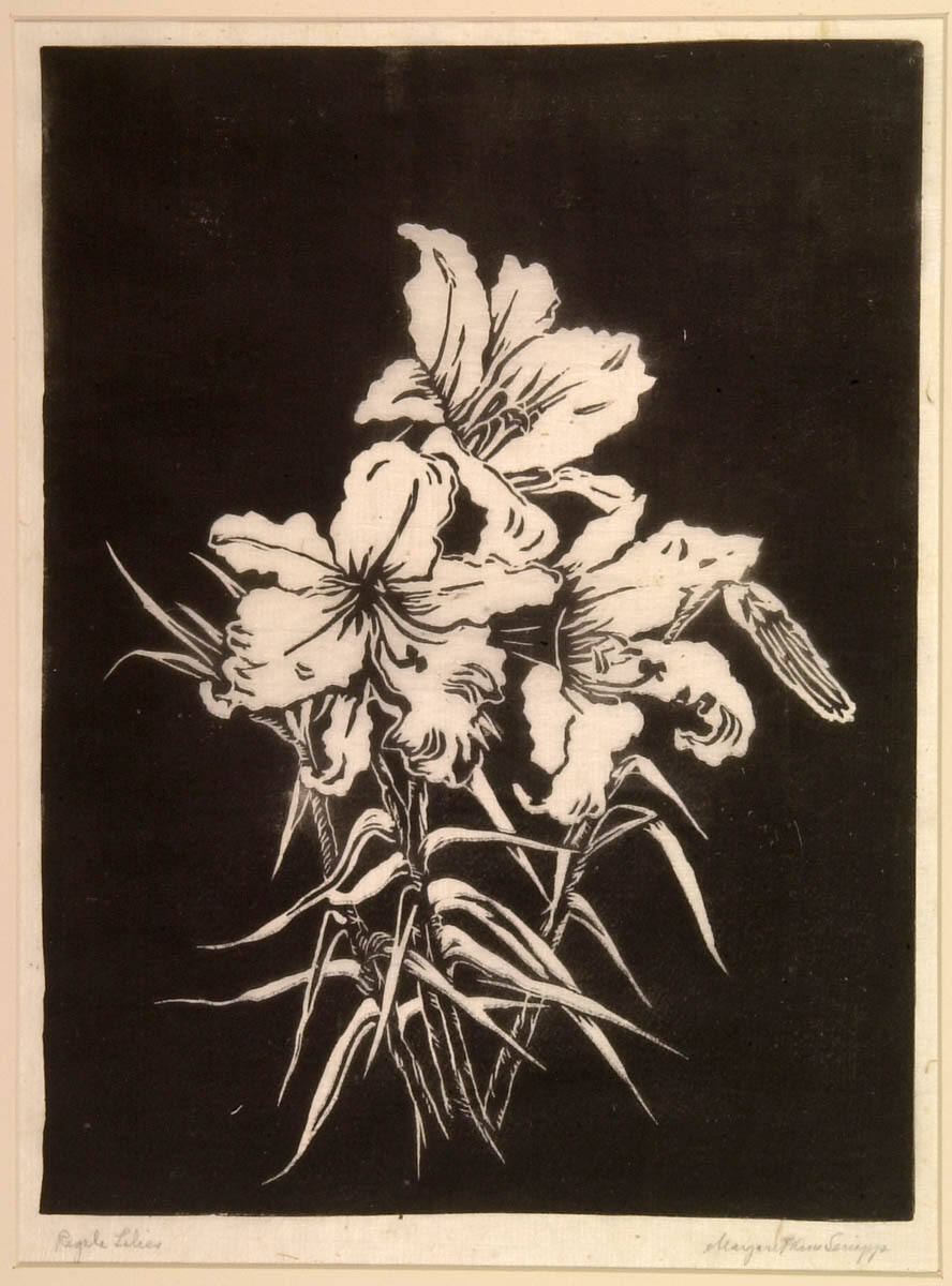 Regale Lilies
