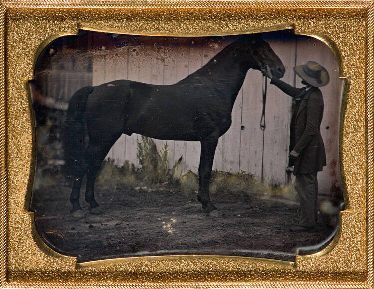 Man with horse