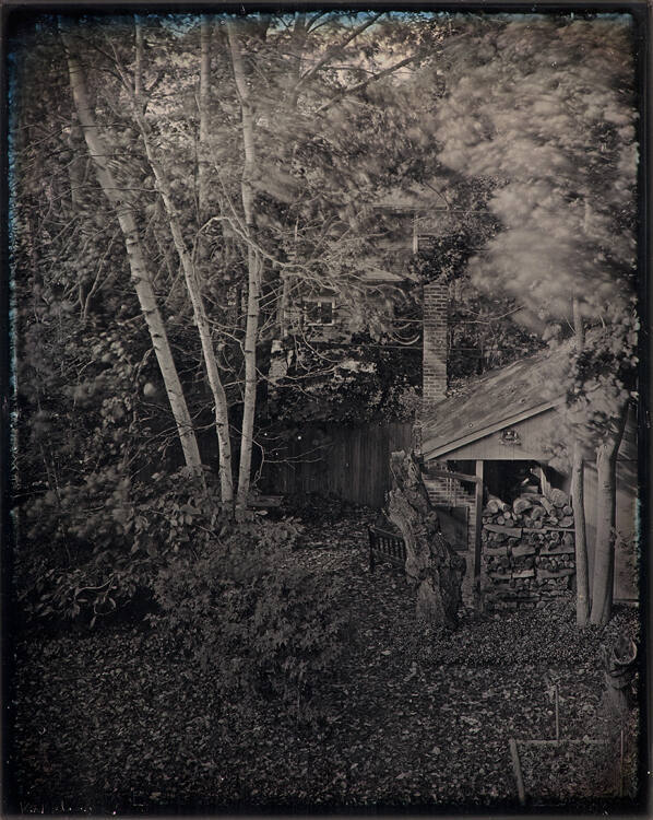 Autumn