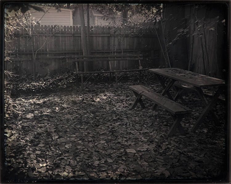 Autumn  (Standard View: Leaves)