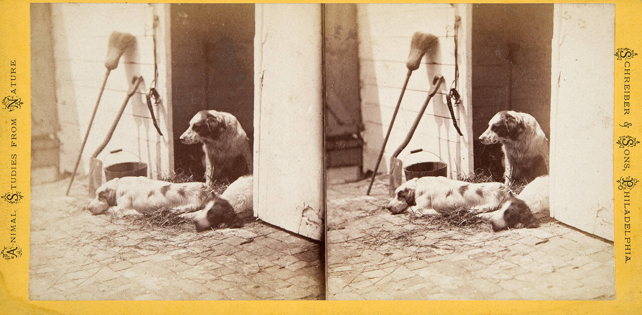 Genre Scene (Dogs in Doorway)