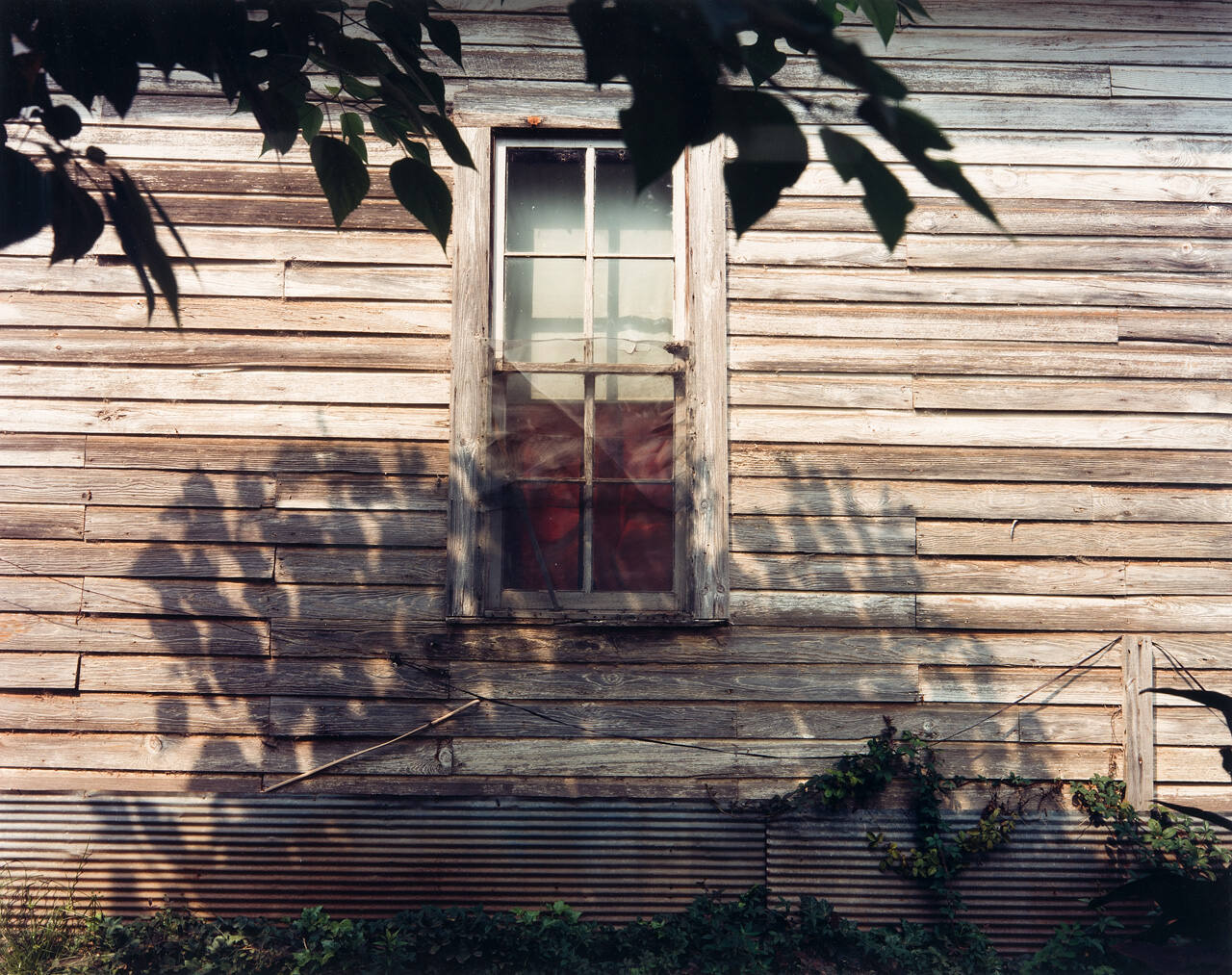 Window, Near Stewart, Alabama