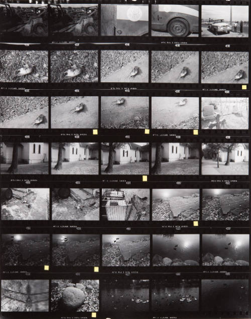 Guggenheim Work: USA64: 0414-0420