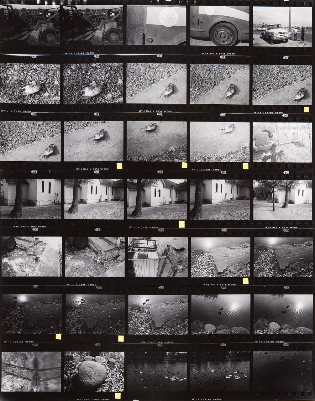 Guggenheim Work: USA64: 0414-0420