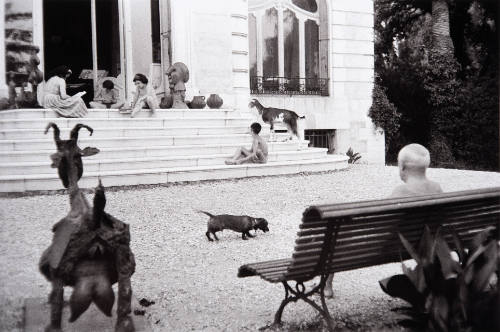 An evening scene. Jacqueline and her daughter Kathy, Paloma and Claude Picasso, with Cabra the goat, on the steps of Villa La Californie. Lump and Picasso look on from the back yard of La Californie.
