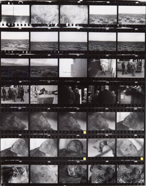 Guggenheim Work: USA64: 0538-0544