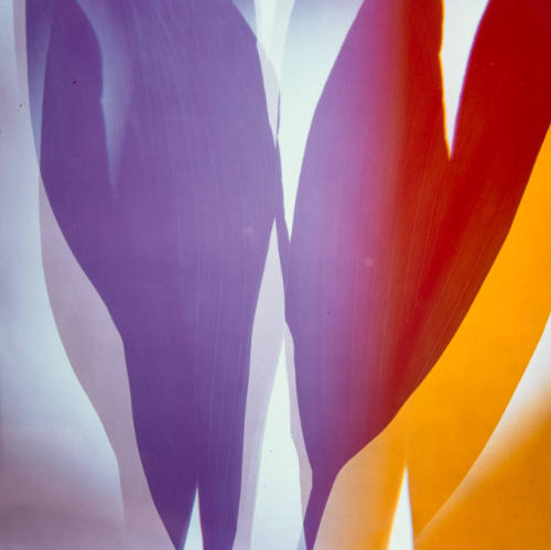 Untitled (abstraction with purple, red and yellow)