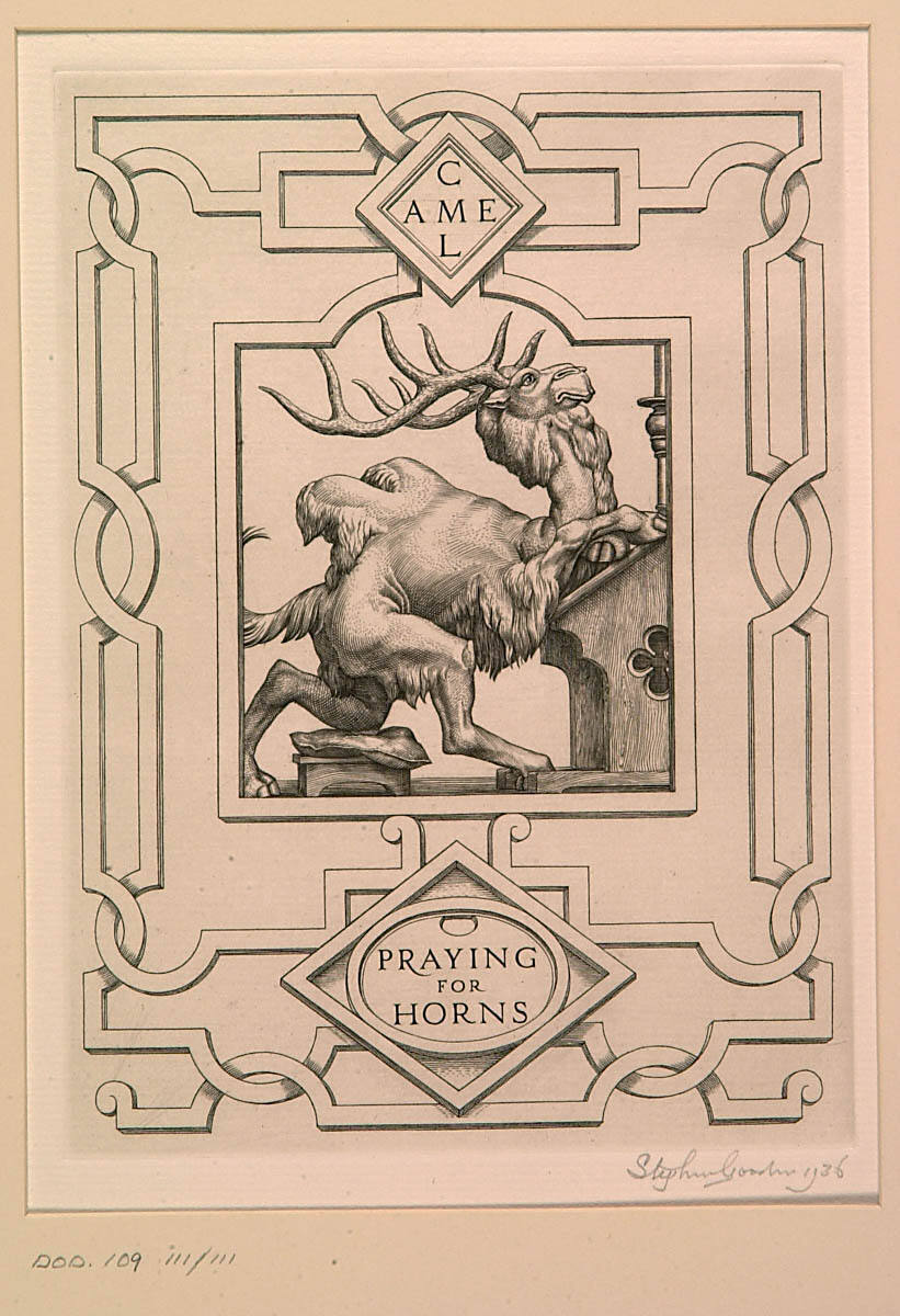 Camel Praying for Horns