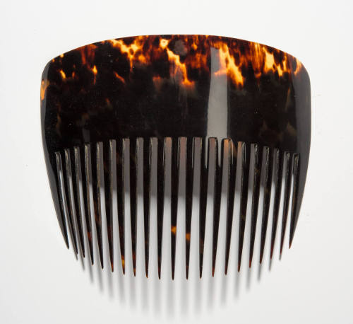 Lady's Comb