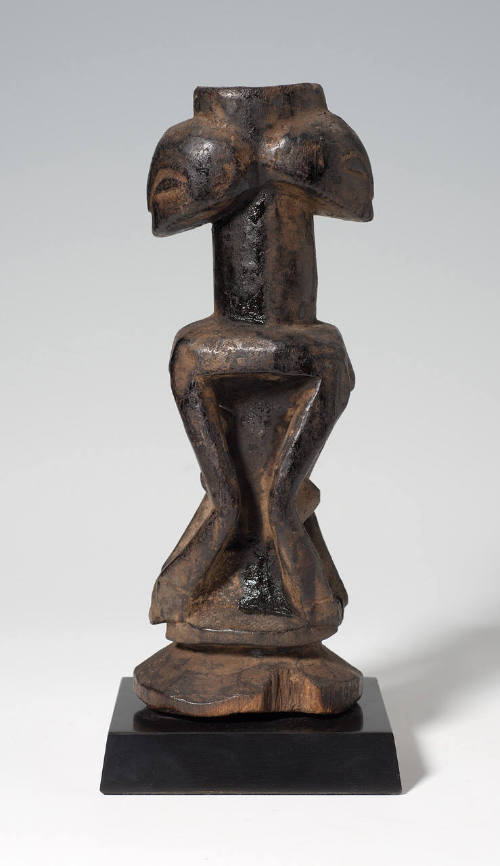 Double Janus Figure
