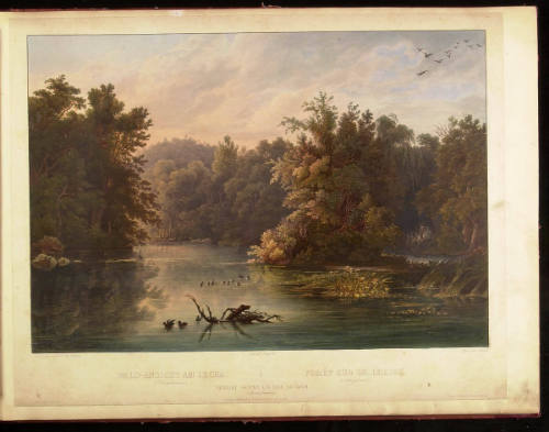 Karl Bodmer