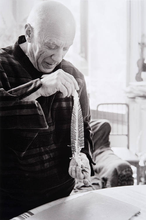 Picasso makes plate of sole's skeleton