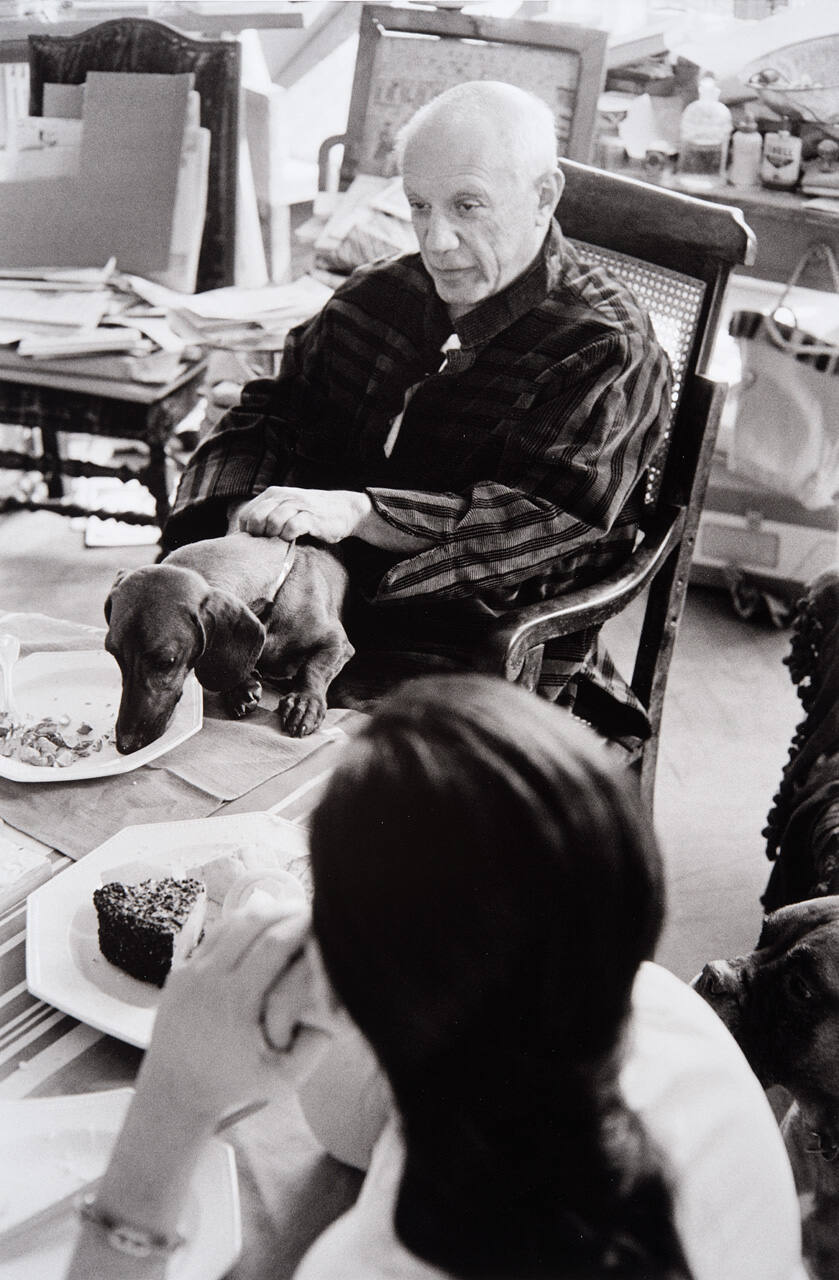 Lump and Picasso