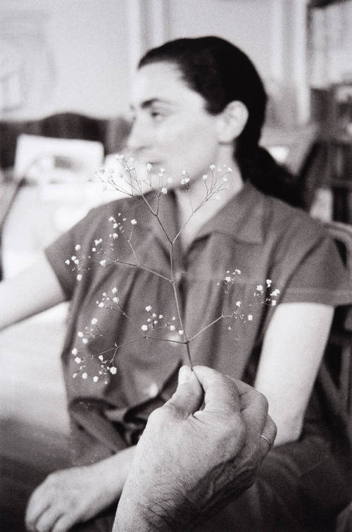 Pablo's hand, and Jaqueline behind a spray of field flowers. The dining room.