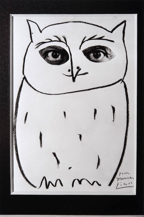 The Great Snow Owl