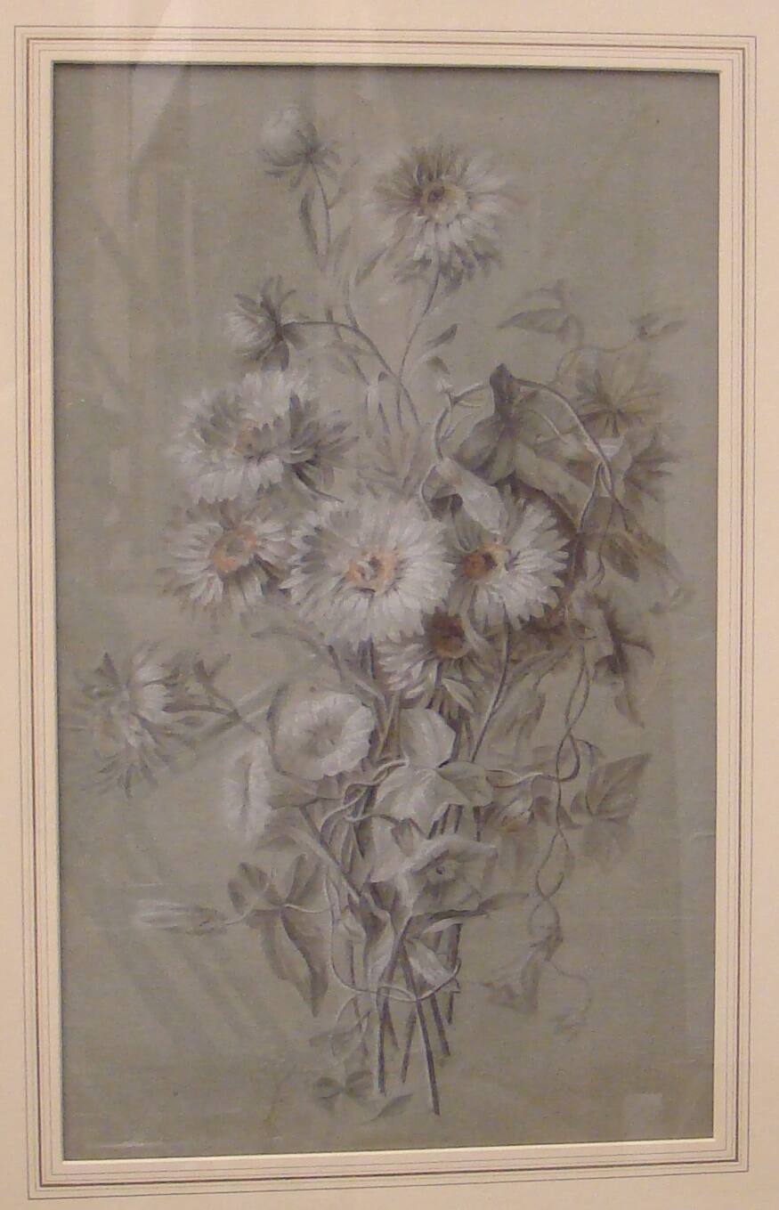Chrysanthemums and Convolvulus