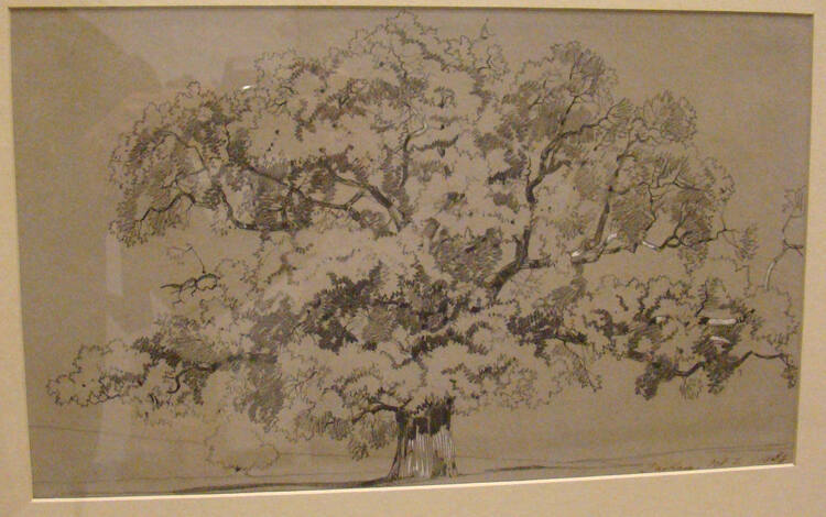 Parham Oak