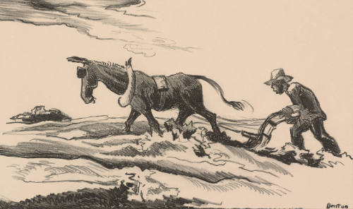 Ploughing