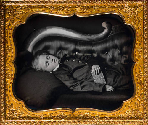 Boy on Sofa