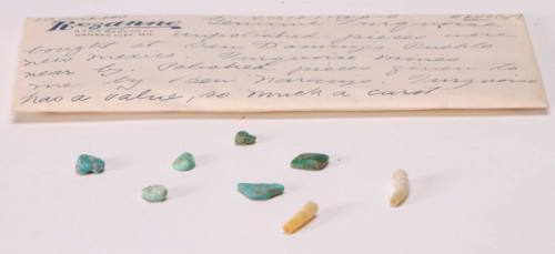 Two Dentelium pieces