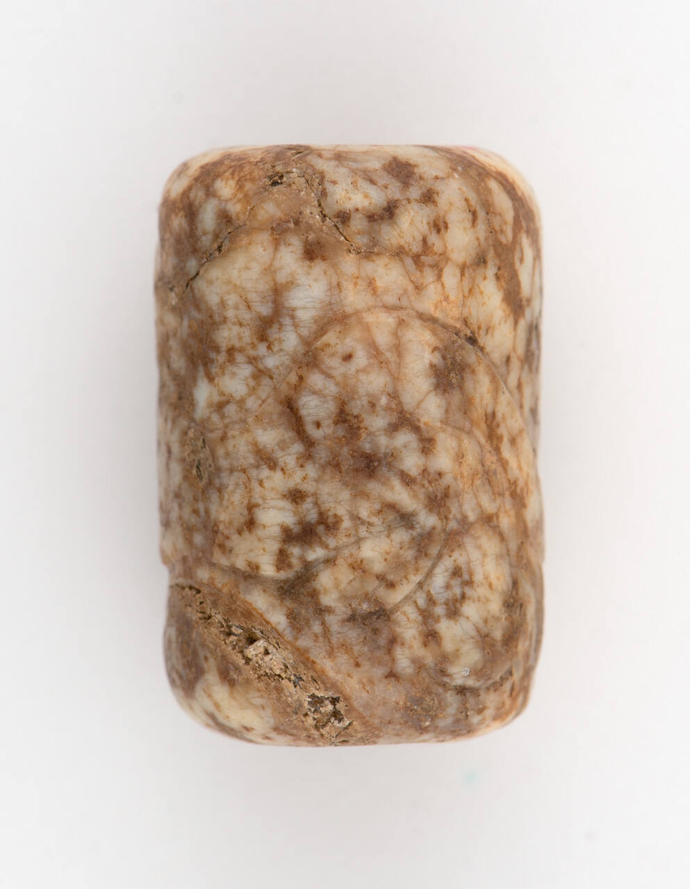 Cylindrical Bead Carved with Hydra